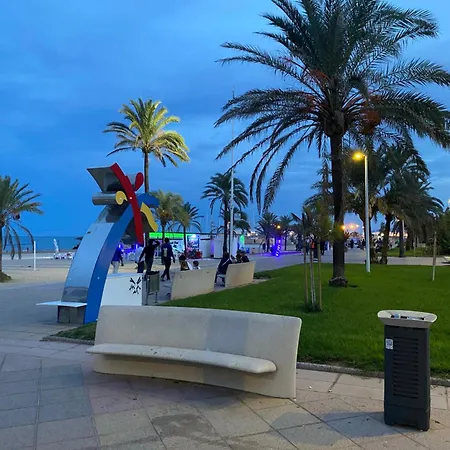 Naranja Grau Gandia